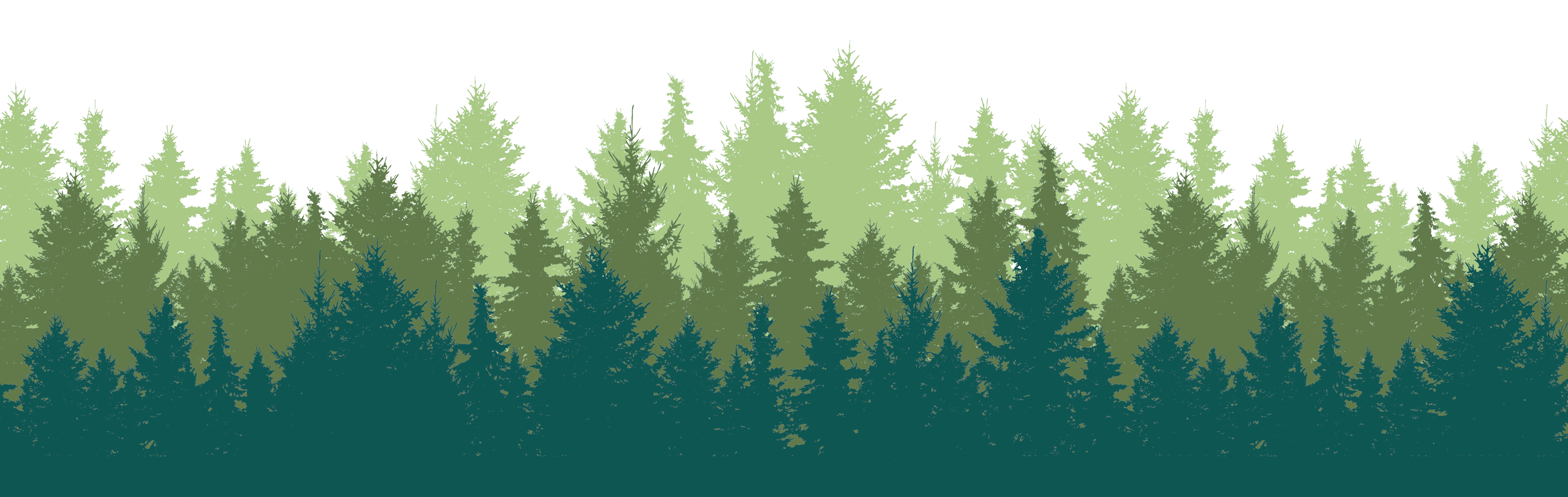 Layered silhouette of pine trees in gradient green shades – natural forest scene